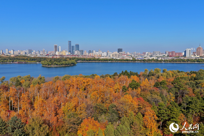 金秋时节，长春南湖公园层林尽染，秋景如画。人民网记者 李洋摄