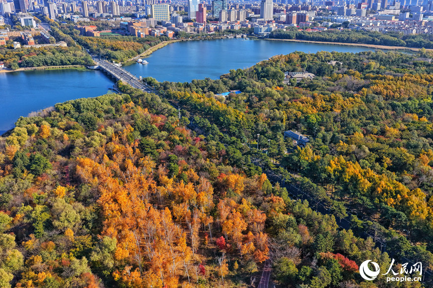 23日，长春南湖公园层林尽染、色彩斑斓。人民网记者 李洋摄
