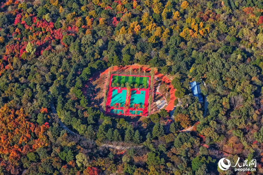 23日，长春南湖公园层林尽染、色彩斑斓。人民网记者 李洋摄