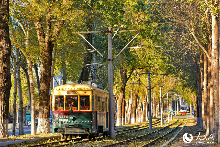 54路文旅專列駛入秋日的“油畫”中。人民網記者 李洋攝