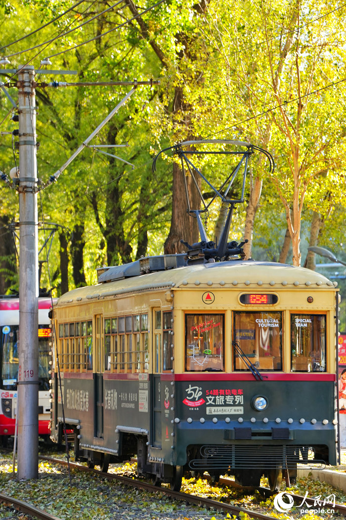 金秋時節，長春市54路有軌電車落葉景觀街區迎來最佳觀賞期。人民網記者 李洋攝
