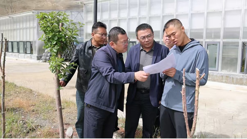 踏查定结县确布乡苗圃种植项目。