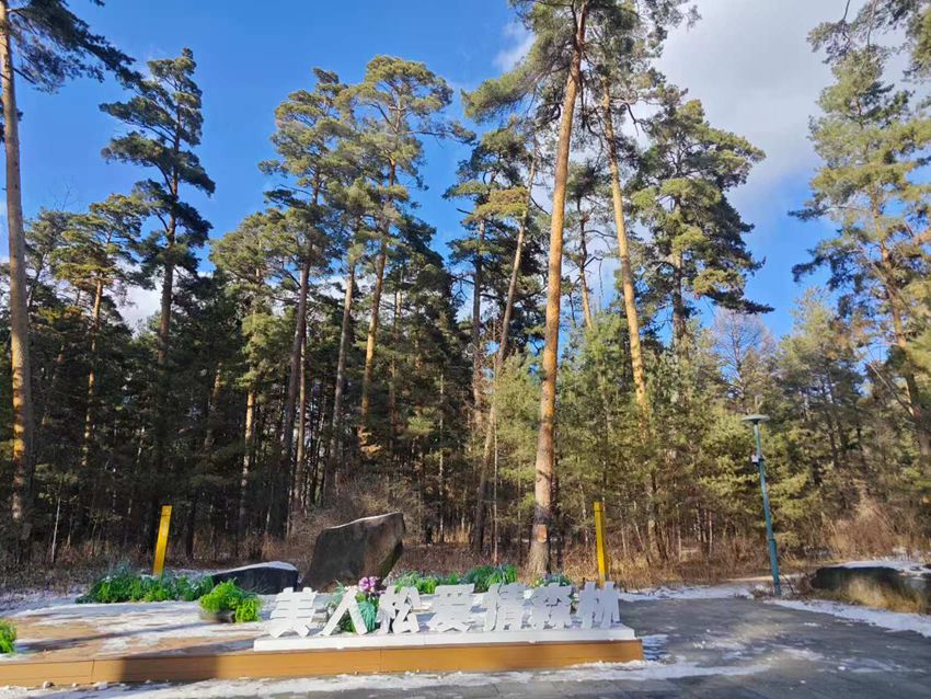 “吉林冰雪煥新季”主題採訪行丨長白山美人鬆愛情森林等你浪漫打卡【2】