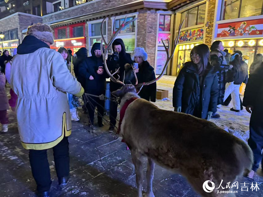 驯鹿巡游吸引游客驻足围观。人民网记者 李思玥摄