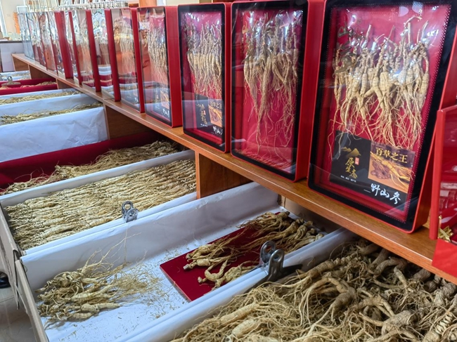 百草之王。人民網記者 馬俊華攝