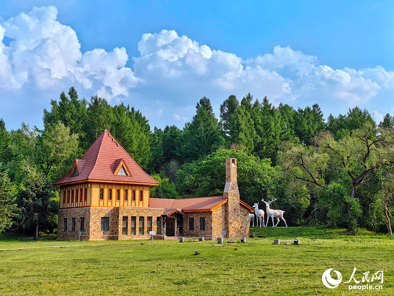 6月，長春市淨月高新區淨月潭國家森林公園夏意漸濃。淨月潭佔地面積達96.38平方公裡，水域面積5.3平方公裡，森林覆蓋率達96%，被譽為“長春綠肺”。多年來，它靜默有力地張開綠色臂膀，吐故納新，擁抱守護著這座城市。人民網記者 李洋攝