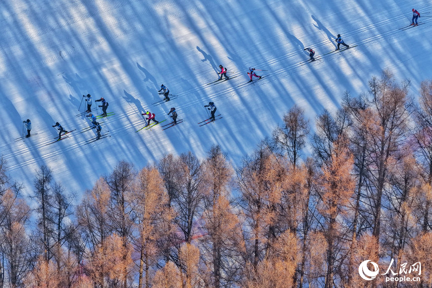 選手們馳騁在森林賽道中。人民網記者 李洋攝