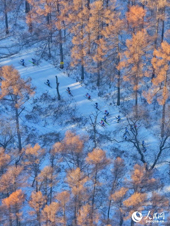 選手們馳騁在森林賽道中。人民網記者 李洋攝