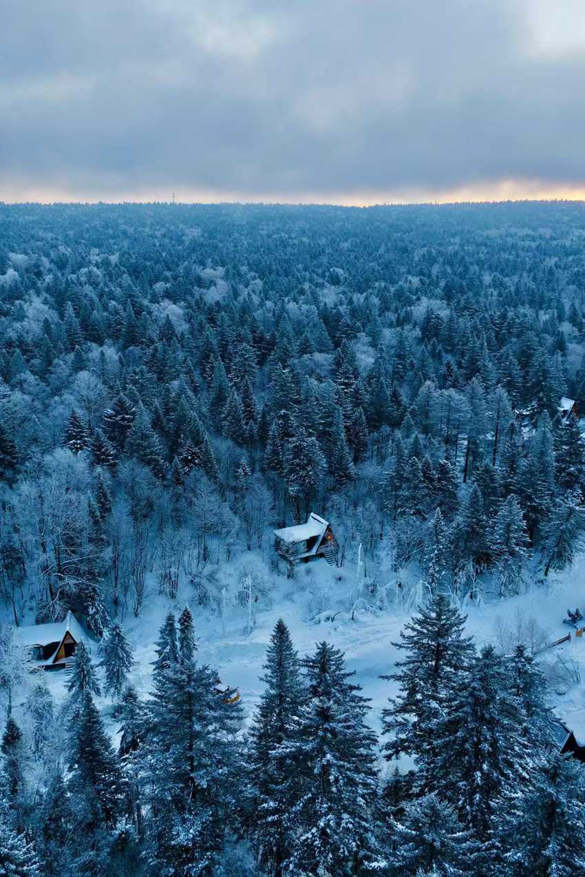 雪凇林海與林間木屋相映，雪原如覆玉紗。（和龍市委宣傳部供圖）