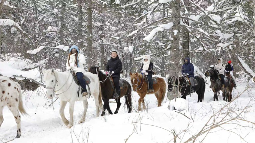 游客身著厚裝林間騎馬，馬蹄踏雪，冬日野趣盡顯。（和龍市委宣傳部供圖）