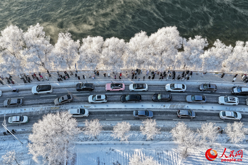 沿江公路两侧的行道树换上了银装。人民网记者 李洋摄