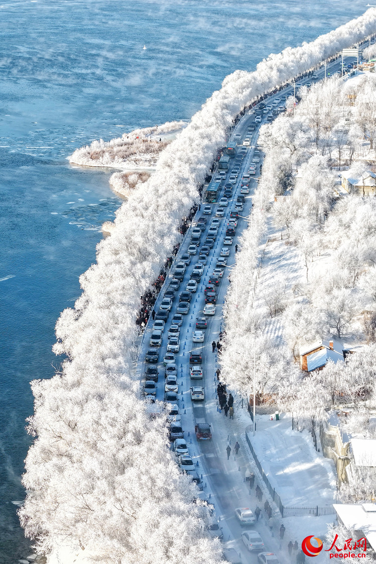 阿什哈达雾凇观赏带美轮美奂。人民网记者 李洋摄