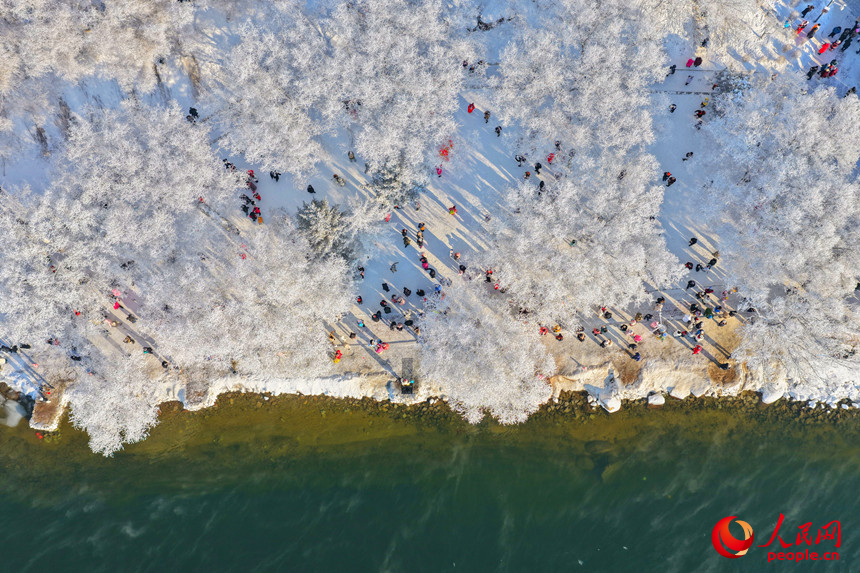 霧凇奇觀吸引著大批游客前來觀賞。人民網記者 李洋攝