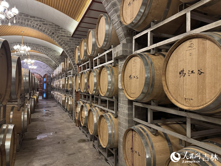 鸭江谷酒庄的地下酒窖内，一排排橡木桶中存储着醇厚佳酿。人民网记者 李思玥摄