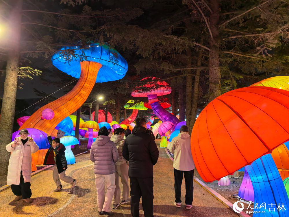 2月19日大年初三，长春动植物公园万盏华灯迎客来，游人如织享新春。人民网记者 王帝元摄