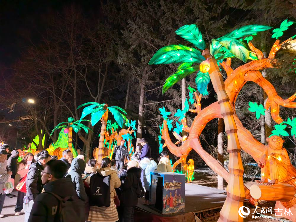 2月19日大年初三，长春动植物公园万盏华灯迎客来，游人如织享新春。人民网记者 王帝元摄