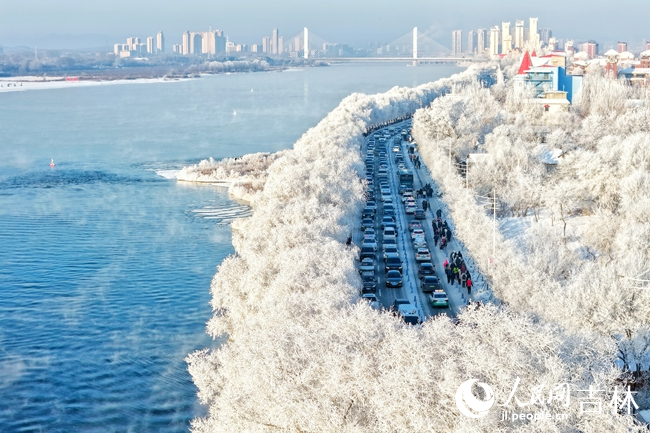 吉林市雾凇景观。人民网记者 李洋摄