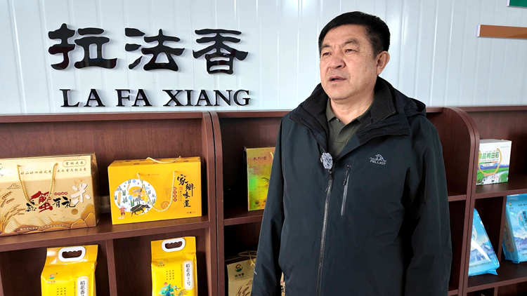 蛟河市拉法街道拉法村党支部书记 拉法中才水稻专业合作社董事长王忠才