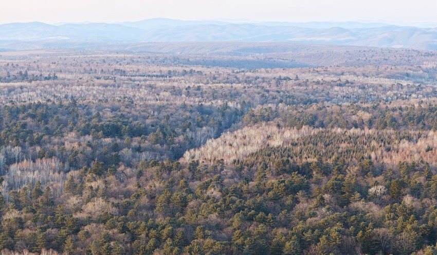 长白山古树公园保护完好的针阔混交林顶极群落。赵冷冰摄
