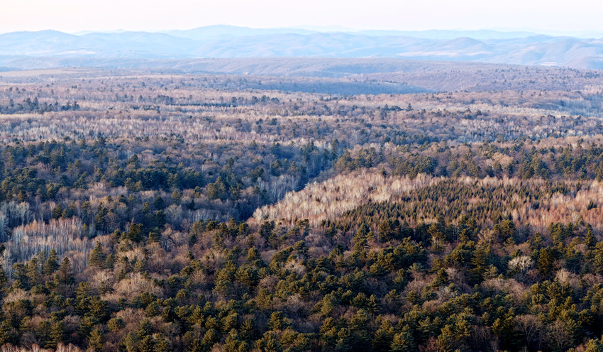 长白山古树公园保护完好的针阔混交林顶极群落。赵冷冰摄