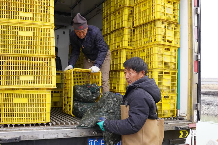 吉林镇赉:科技赋能蟹业提质精养深耕振兴之路(图1)