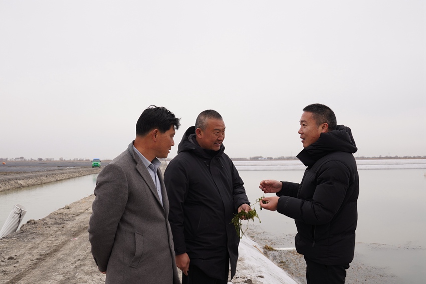 吉林镇赉:科技赋能蟹业提质精养深耕振兴之路(图2)