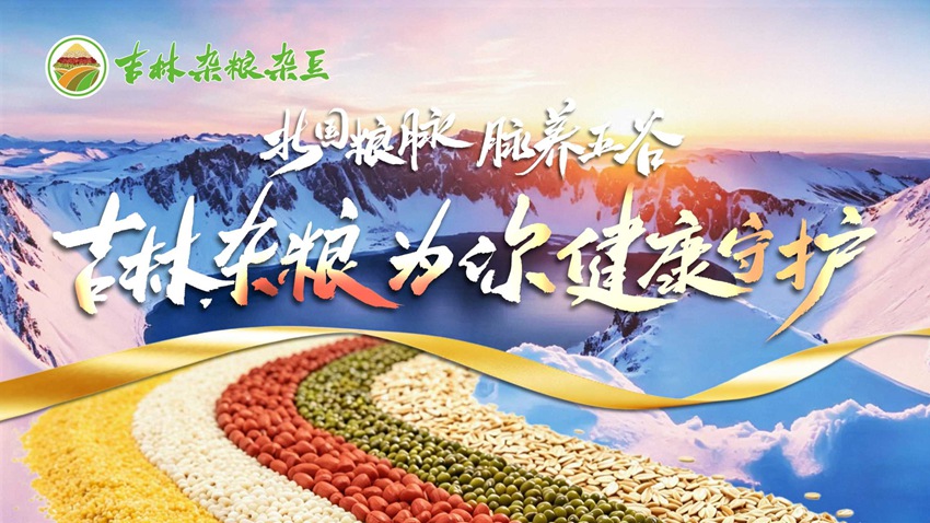 吉林杂粮杂豆公用品牌广告语