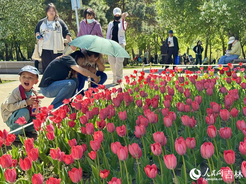 5月9日，长春公园内，小朋友在郁金香花田前露出灿烂笑容。人民网记者 李思玥摄