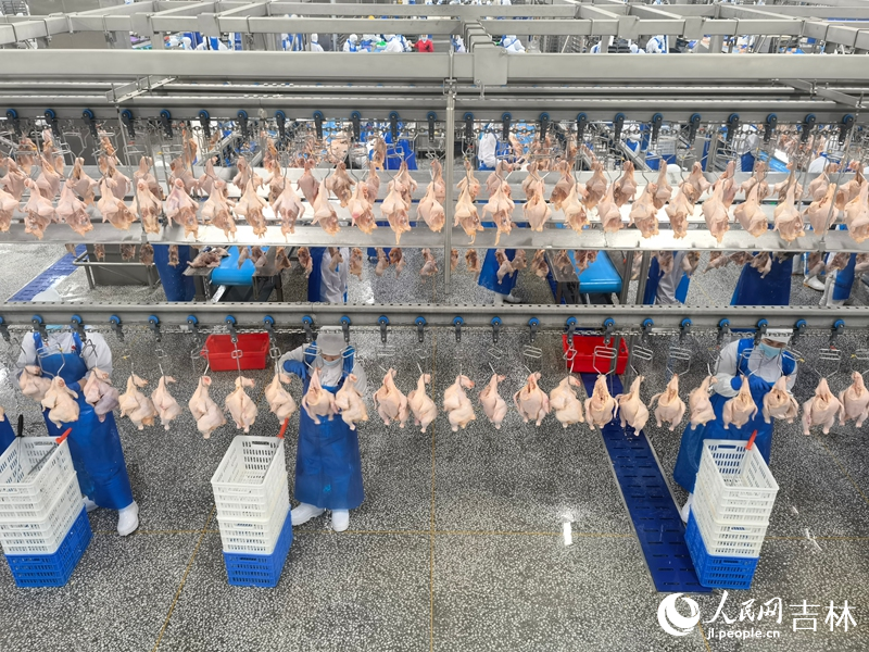 四平禾丰食品生产车间。人民网记者 马俊华摄