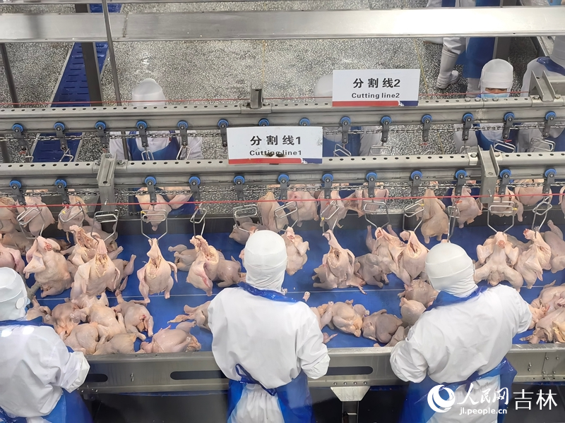 四平禾丰食品生产车间。人民网记者 马俊华摄