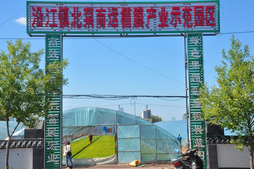 沿江镇蔬菜产业园区，一园两用。