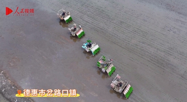 稻渔共生绘就德惠田畴新景