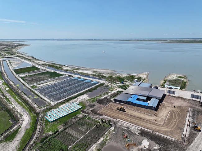高空视角俯瞰清水小龙虾养殖基地