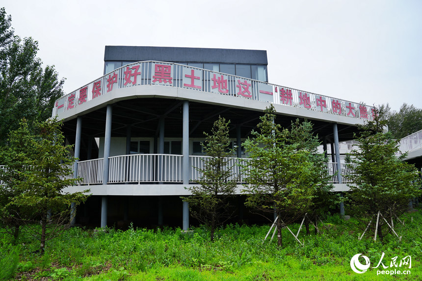 农田旁的新品种新技术实训基地。人民网记者 李洋摄