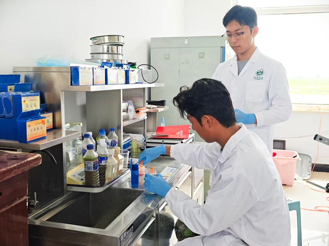 吉林農業大學在鎮賚茭白科技小院的實驗室
