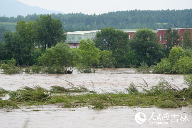 强降雨引发河道水位上涨。人民网记者 李洋摄