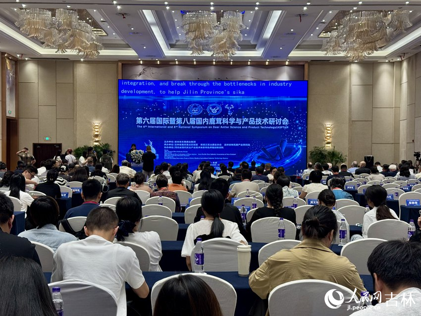 活动现场。人民网记者 李思玥摄