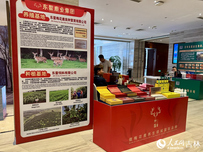 鹿产业转化成果展。人民网记者 李思玥摄