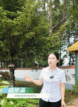 杨荣晶梨树县北夏家村党支部书记查看详情旧校舍里种出“新光景”吉林省四平市梨树县梨树镇北夏家村坚持党建引领，将废旧村小改造为集村史馆、农耕研学、电商直播于一体的乡村振兴综合体，不断探索农文旅融合与群众增收致富的新路径。