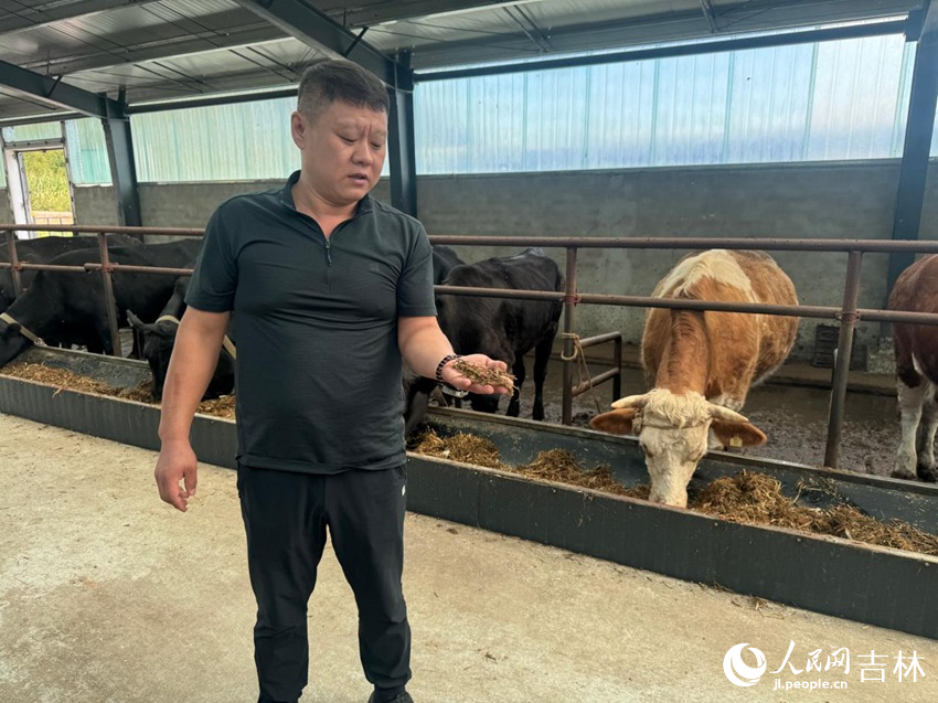 通化有限無邊生物發展有限公司肉牛養殖基地。人民網記者 李思玥攝