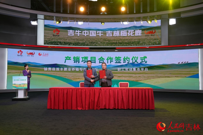 鎮賚縣雙豐鵝業養殖專業合作社與職工勞動集市平台簽約。人民網記者 李洋攝
