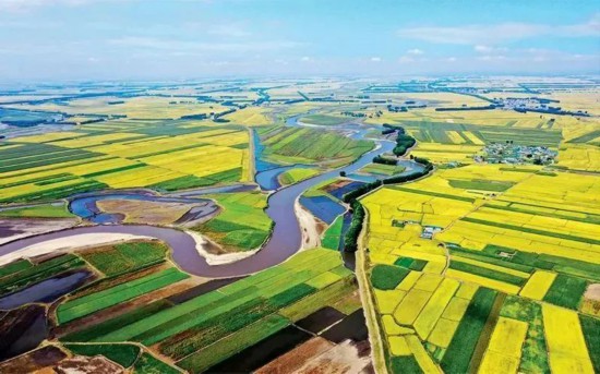 吉林省是国家重要商品粮基地，粮食产量连续3年超过800亿斤，商品粮调出量居全国第二。图为2023年9月5日，吉林省白城市洮儿河两畔的万顷稻田，勾勒出一幅幅秀美的乡村丰收画卷。人民图片 樊甲山/摄